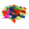 Creative Arts™ Turkey Feathers, Hot Colors, 14 Grams Per Pack, 12 Packs