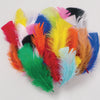 Turkey Plumage Feathers, Bright Hues Assorted, Assorted Sizes, 1 oz. Per Bag, 6 Bags