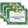 Elementary School Diploma, 8.5" x 11", 30 Per Pack, 3 Packs