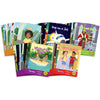 Letters & Sounds The Beanies Boxed Set, Set of 60