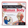 Double-Sided Magnetic Human Body Set, 17 Pieces