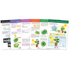Photosynthesis Bulletin Board Chart Set, Grades 3-5