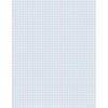 Graphing Paper, White, 1-4" Quadrille Ruled, 8-1-2" x 11", 500 Sheets Per Pack, 2 Packs