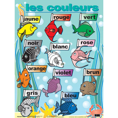 French Essential Classroom Posters Set II