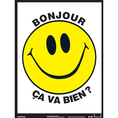 French Essential Classroom Posters Set II