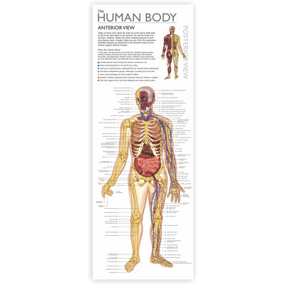 Wonders of Learning Tin Set, Discover the Human Body