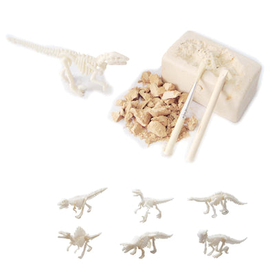 Wonders of Learning Tin Set, Discover Dinosaurs