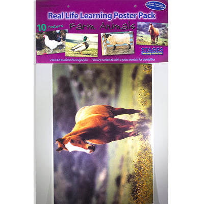 Farm Animal Real Life Learning Poster Set, Set of 10