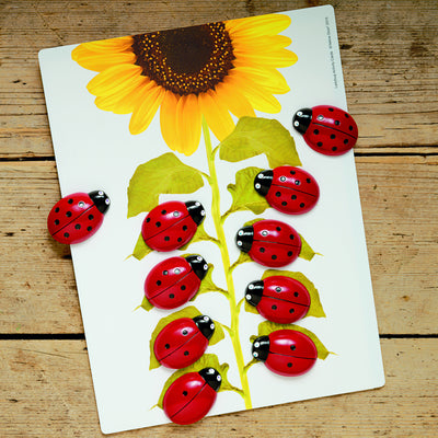 Ladybugs Early Number Card, Pack of 16