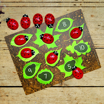 Ladybugs Early Number Card, Pack of 16